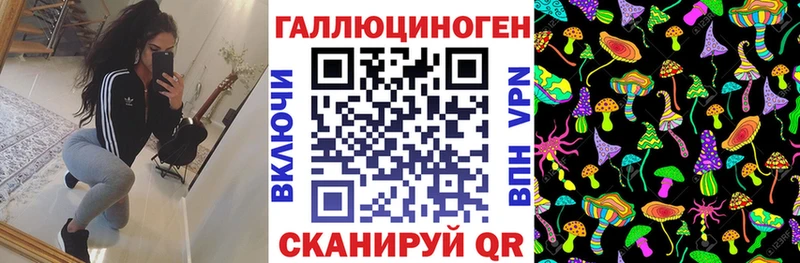 Галлюциногенные грибы Psilocybine cubensis  Порхов 