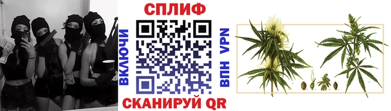 Конопля SATIVA & INDICA  купить   Порхов 